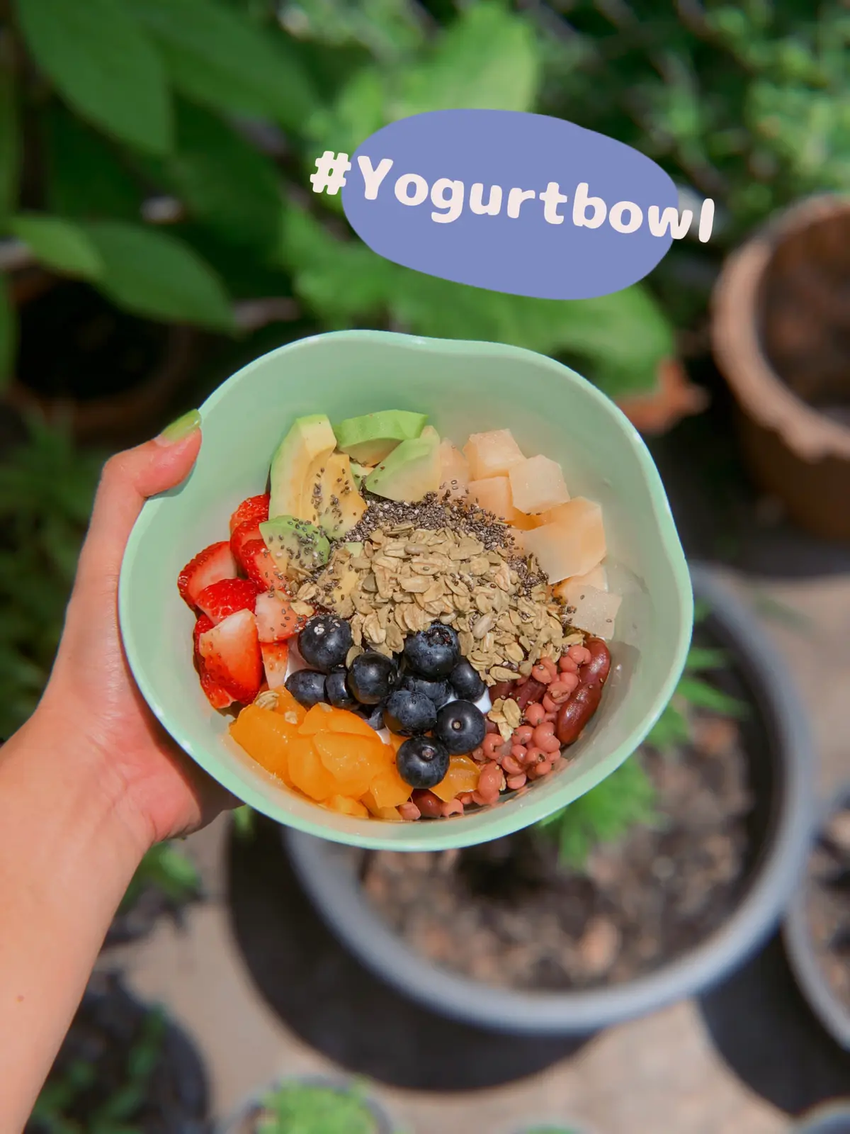 The world of my yogurt bowls แกลเลอรีที่โพสต์โดย Malee48 Lemon8