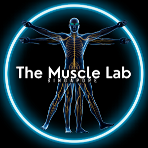 THE MUSCLE LAB 's images