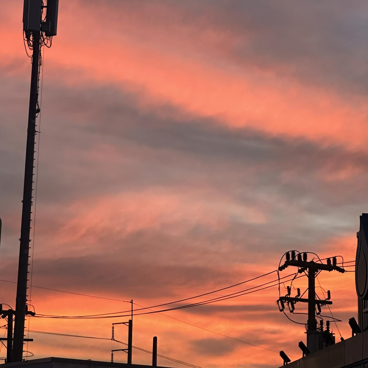 โพสต ของ Everythiing Lemon8