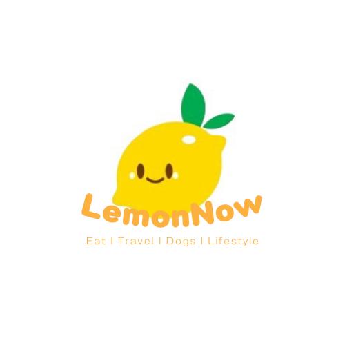 Lemonnow •`ᴥ•´ʔ
