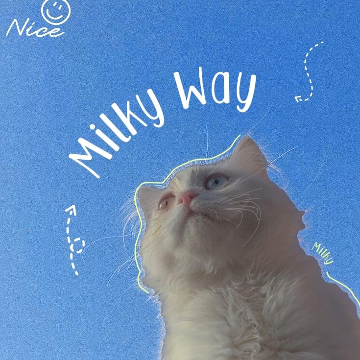Milky Way🐣