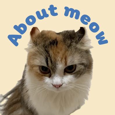About meow
