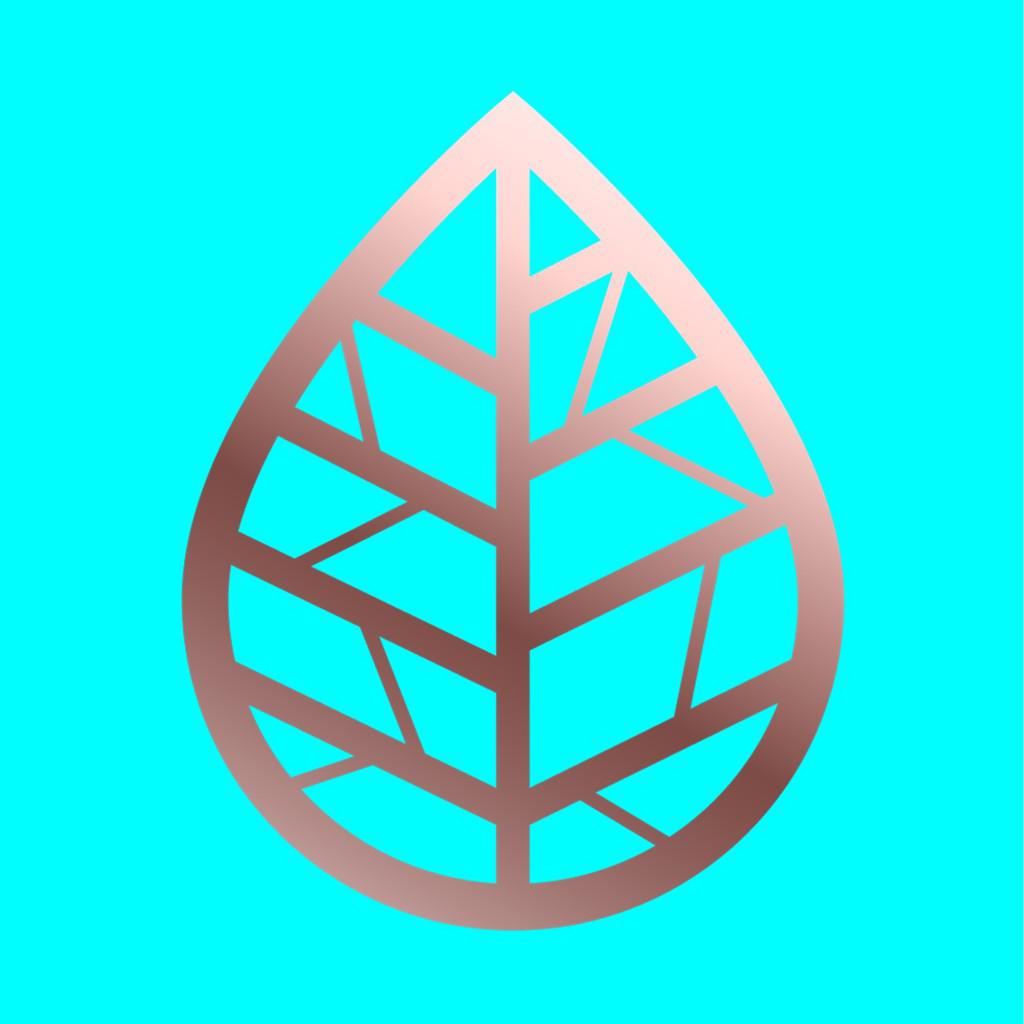 hiko-drinks-lemon8