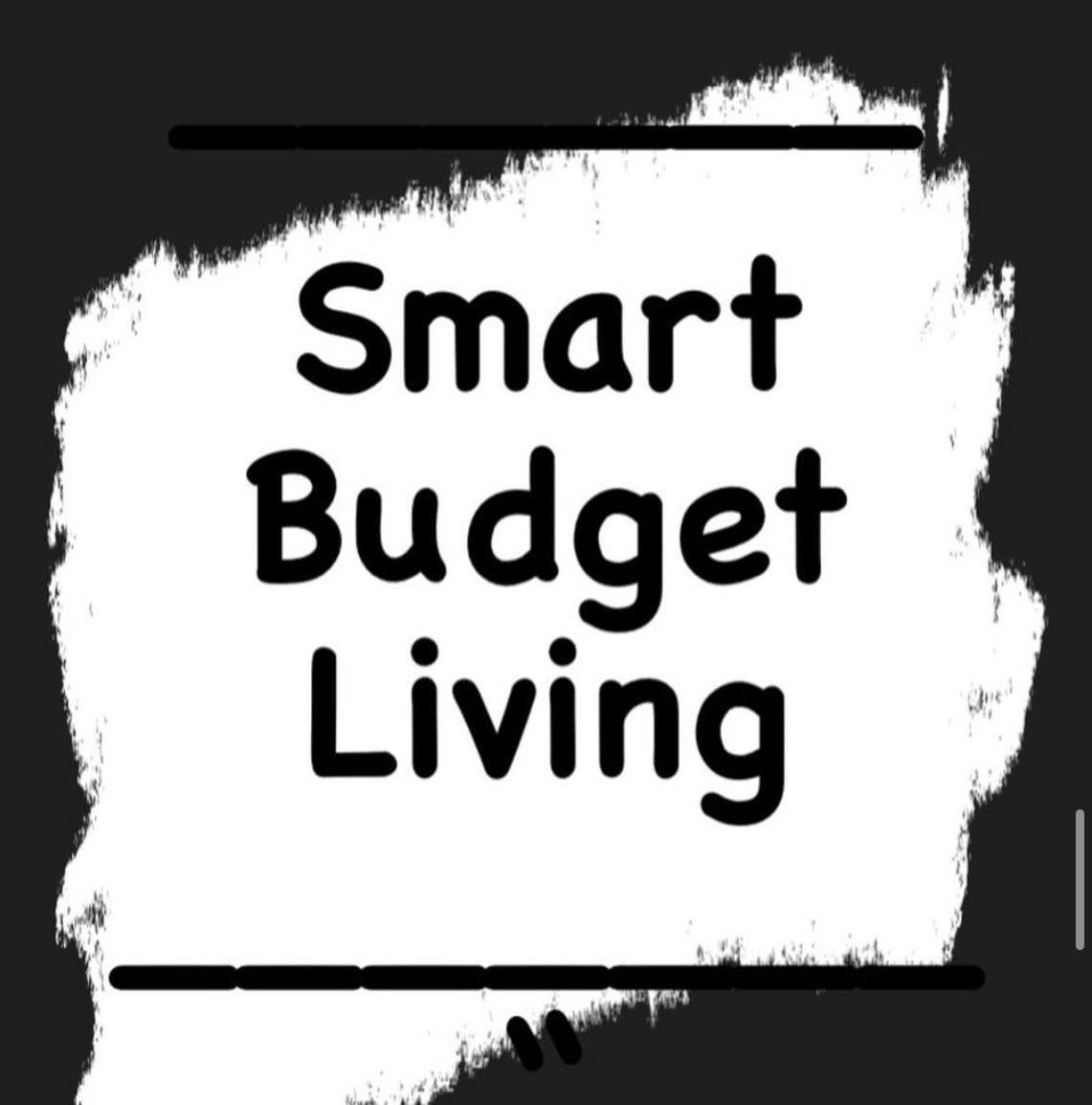 smartbudgetliv-lemon8