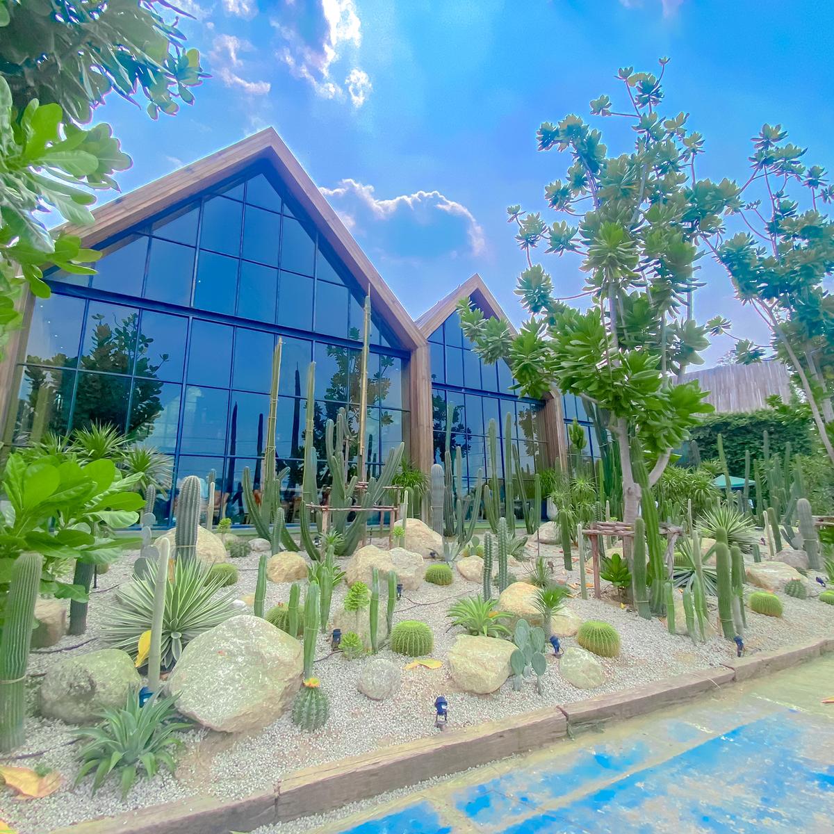 โพสต์ ของ yada|Lemon8