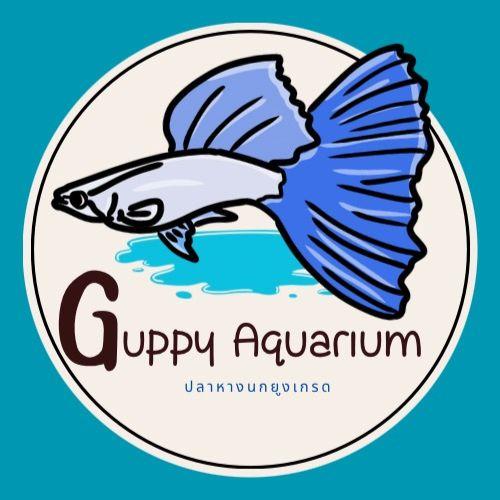 Guppy.Aquarium