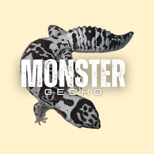 Monster Gecko