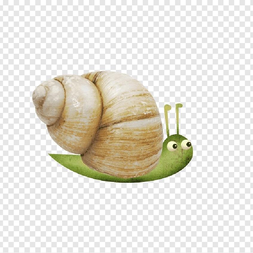 รูปภาพของ Little Snails