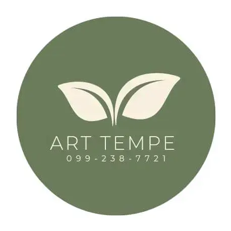 ART TEMPE