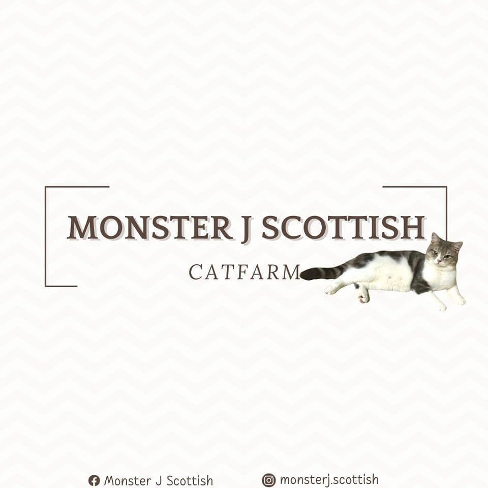 Monster J Scott