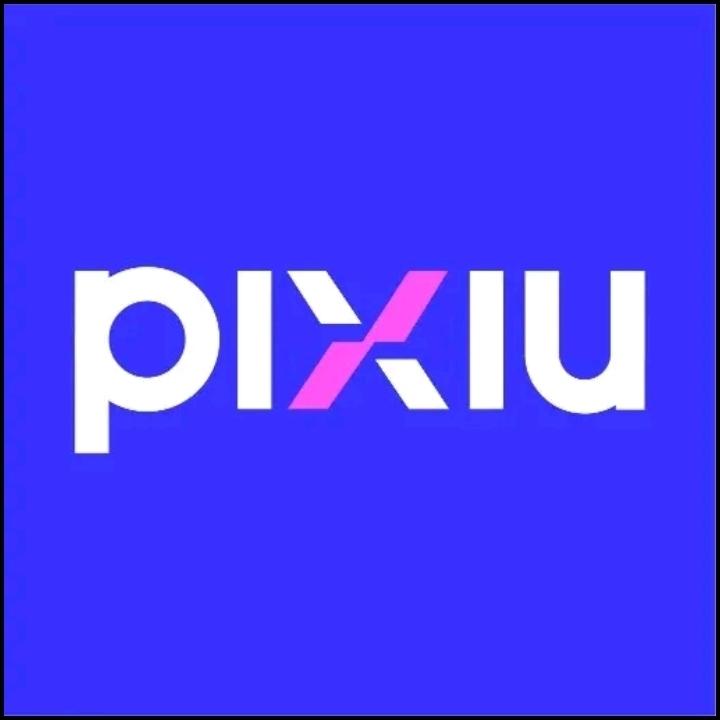 PIXIU-INVEST's images