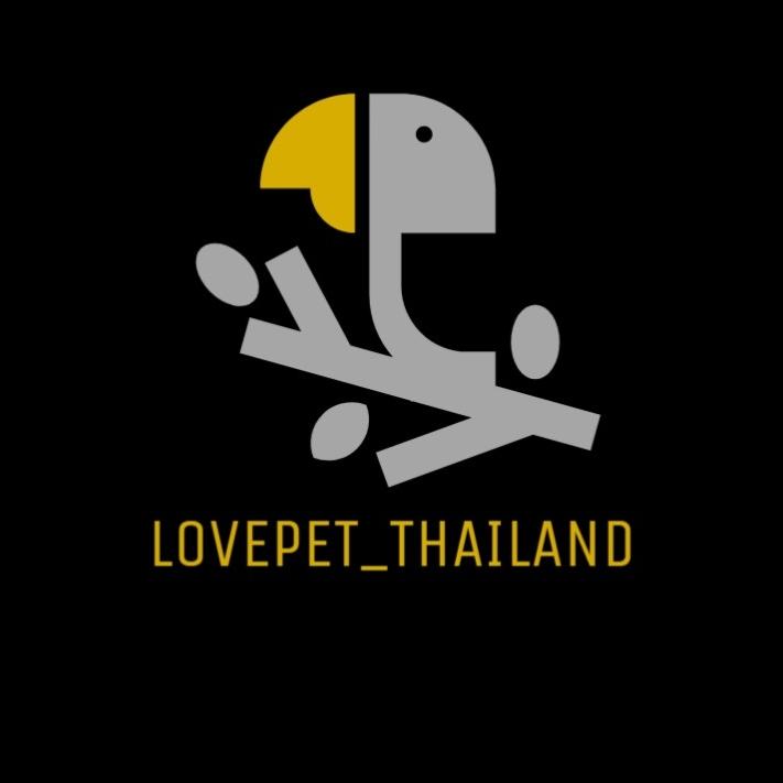 lovepet thai
